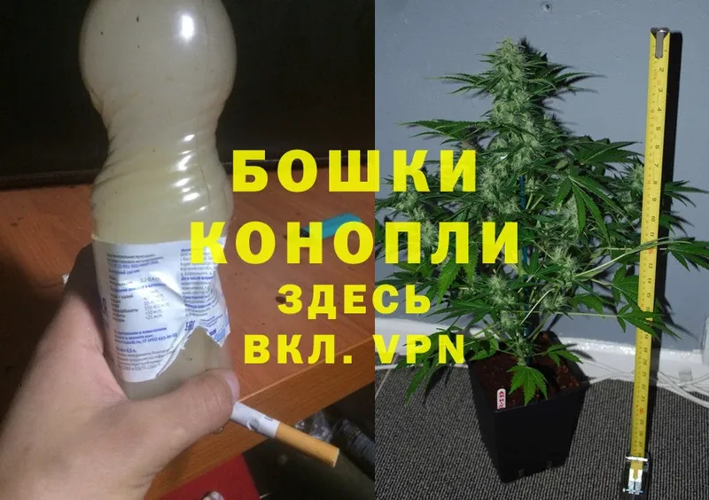 Шишки марихуана SATIVA & INDICA  Абинск 